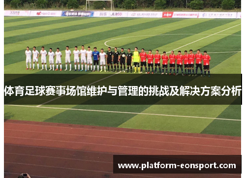 体育足球赛事场馆维护与管理的挑战及解决方案分析