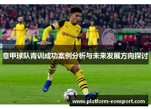 意甲球队青训成功案例分析与未来发展方向探讨