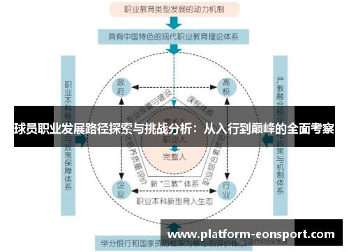 球员职业发展路径探索与挑战分析：从入行到巅峰的全面考察