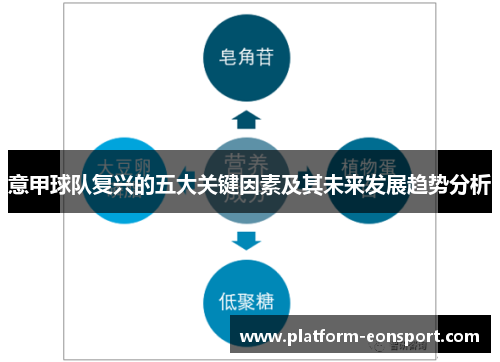 意甲球队复兴的五大关键因素及其未来发展趋势分析