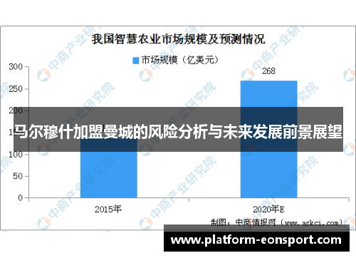 马尔穆什加盟曼城的风险分析与未来发展前景展望
